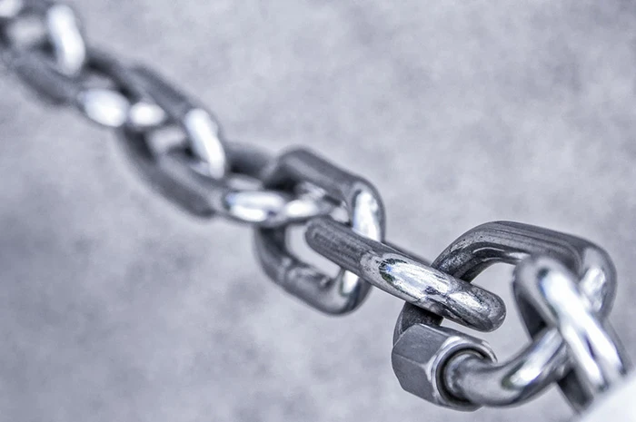 link building services